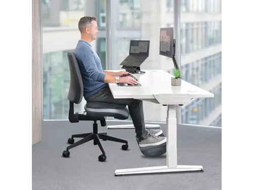 Stoelkussen Fellowes Breyta Wig zwart