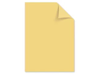 Papier Kangaro A4 80grs donkerchamois pak 100 vel - 1