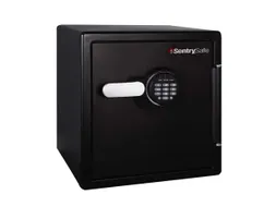 Brandkast Sentry Safe Sfw123ftc