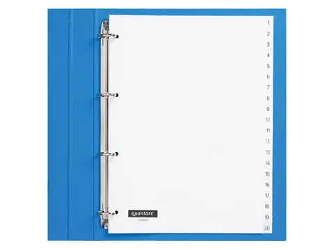 Tabbladen Quantore A4 4-Gaats 1-20 Genummerd Wit Pp