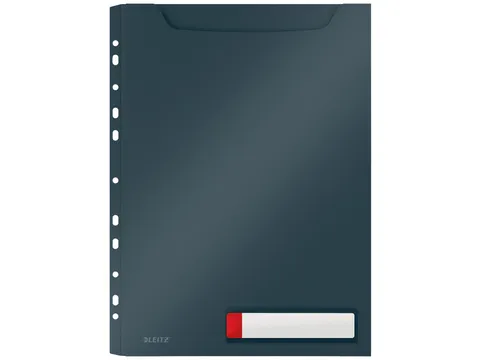 Insteekmap U-model Leitz Cosy harmonica A4 met perforatiestrip PP grij