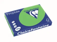 Trophée Intens gekleurd papier A3 160 gram 250vel Grasgroen