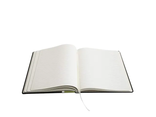 Notitieboek Èccolo Simple Black lijn ca.20x25cm 80gr. 256pag.