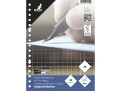 Ringbandinterieur Kangaro A5 ruit 10mm 17-gaats 60 grams 100 blad