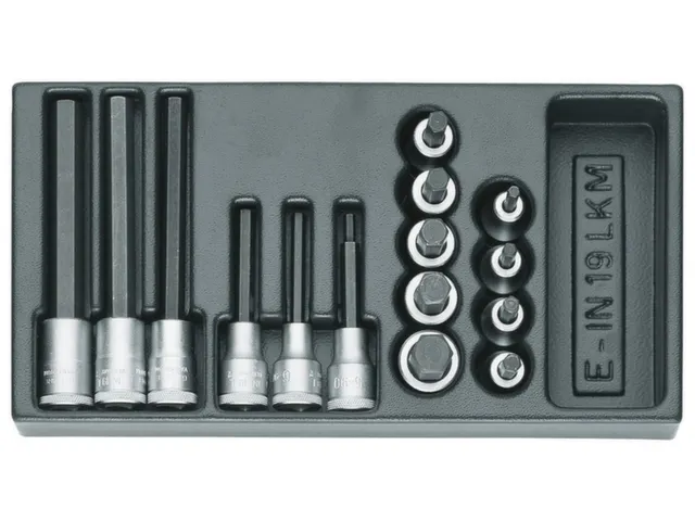 1500 ES-IN 19 LKM Set schroevendraaierbits 1/2 inch in 1/3 ES-module