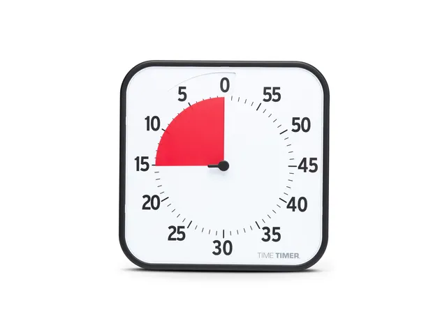 Time Timer Original large zwart