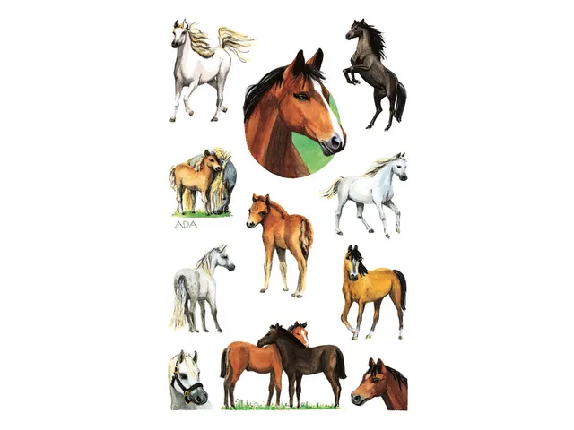 papieretiket Z-design Kids pakje a 2 vel paarden