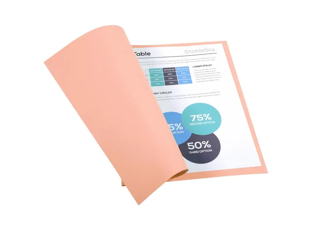 100 dossiermappen FOREVER 250 100%gerecycleerd 24x32cm Roze