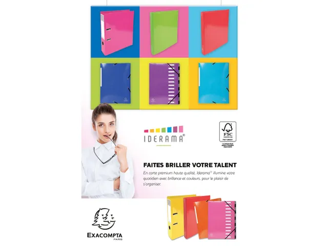 Trieur Harmonika Iderama 12 compartiments - Violet