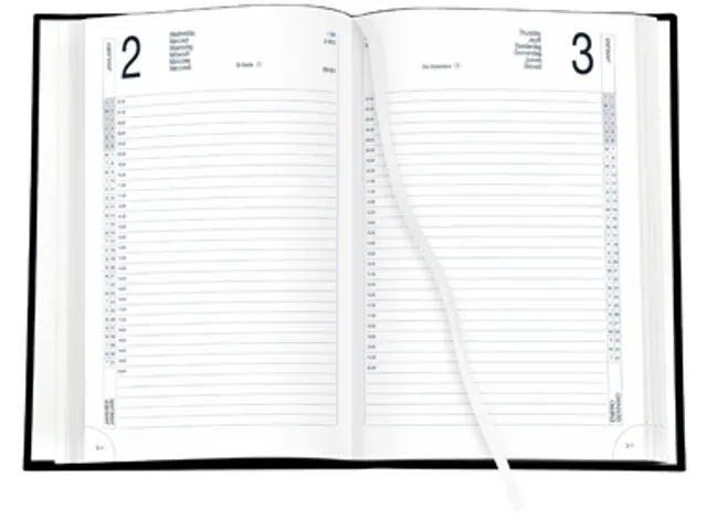 Gallery Agenda Businesstimer, Bruin, 2017