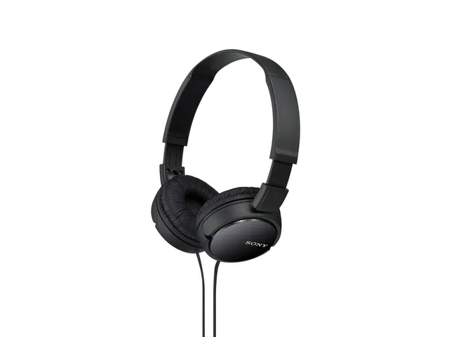 Casque Sony over-ear ZX110 Noir