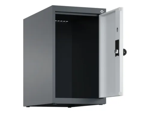 opzetkast,v. locker,1vak.,vak B 300mm,HxBxD 500x300x500mm,vleugeldeur