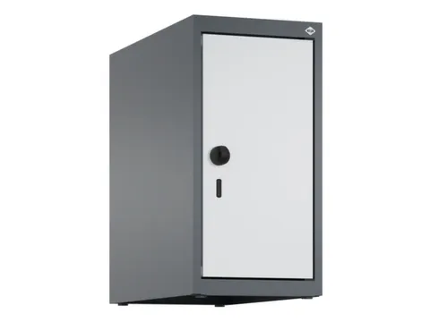 opzetkast,v. locker,1vak.,vak B 250mm,HxBxD 500x250x500mm,vleugeldeur