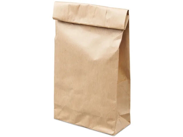 Sachet papier Kraft 310x155mm Brun 1000 pièces