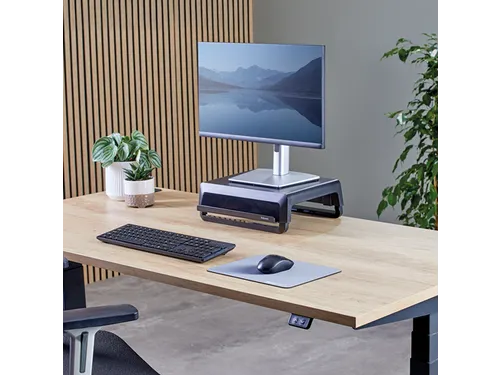 Muismat Fellowes Breyta XL grijs 21x28cm
