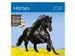 Kalender 2027 Helma 365 30x30cm paarden
