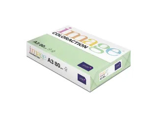 Kopieerpapier Forrest Middelgroen A3 160 Gram 500 Vel - 4