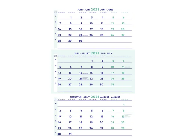 Driemaandskalender, Wandmodel, 300 x 600 mm, 4 talen, 2022