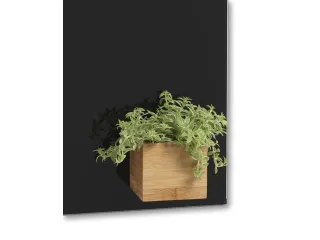 Opbergbox Naga bamboo 6x6x6cm magnetisch super sterk - 3