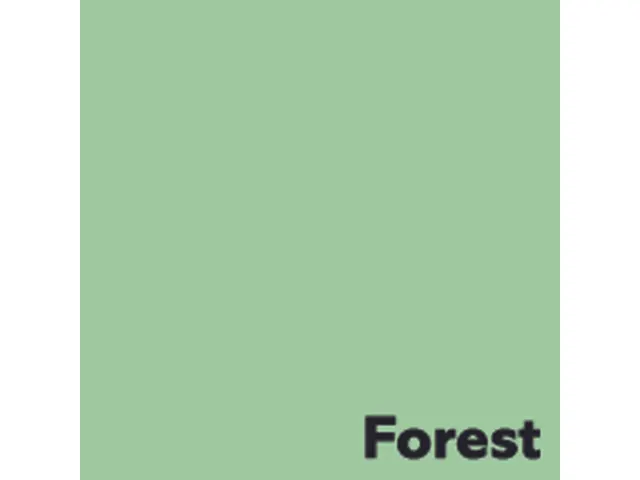 Kopieerpapier Forest Middelgroen A4 80 Gram 500 Vel