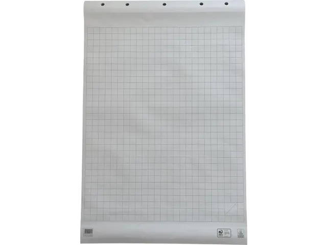 Flipchartpapier 65 X 98 Cm Geruit Blok Van 50 Vel