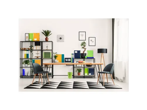 Showalbum Harde Grecycleerde PP Forever PP 30 Tas A4 Assorti