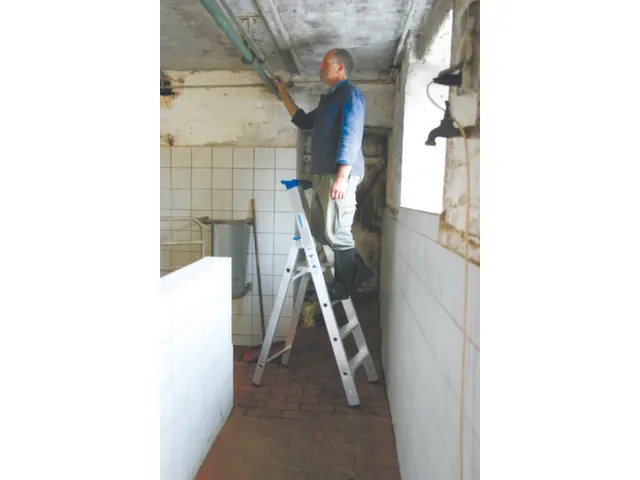 Ladder Aluminium Bordes H 0 95M 4Treden Incl. Bordes