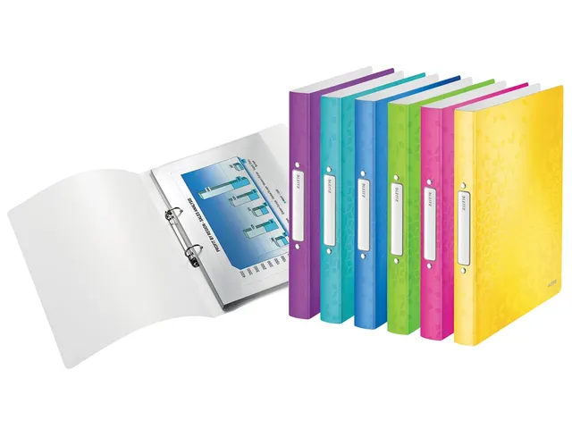 Wow Ringmap Uit Pp A4 2 Rings O-mech 25mm Assorti Kleuren