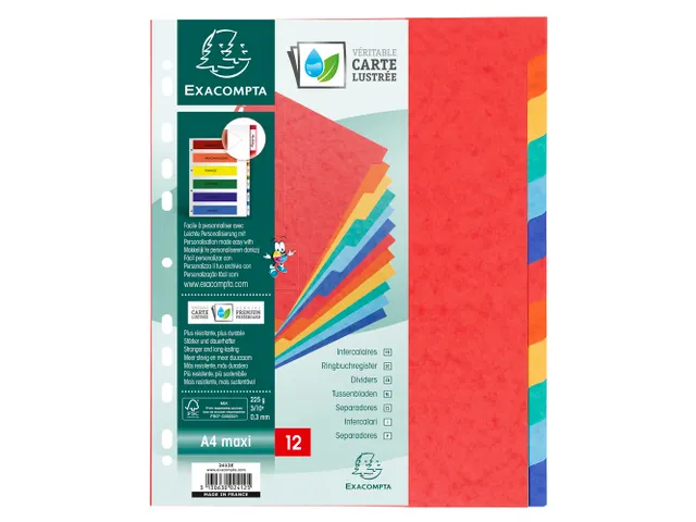 Tabbladen glanskarton 225g 12-delig A4 maxi Assorti