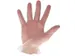 Handschoen CMT M vinyl poedervrij wit 100 stuks