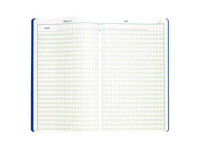 Piqûre 40x24cm - Pointage 46 lignes 80 pages - Couleurs assorties