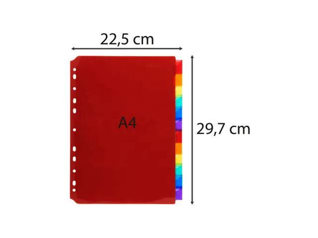 Tabbladen Pp Met Neutrale Tabs In Etikettenhouder 12 Tabs A4