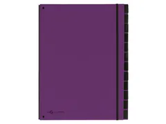Sorteermap Pagna Trend 12 vaks A4 Pp Lila