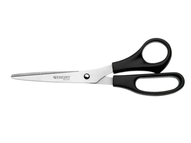 Ciseaux Westcott Buro RVS 21cm poignées en plastique dans le sac