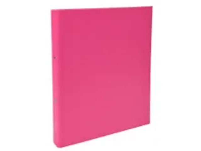 OUTLET Ringmap PP A4 2R 30mm geassorteerd