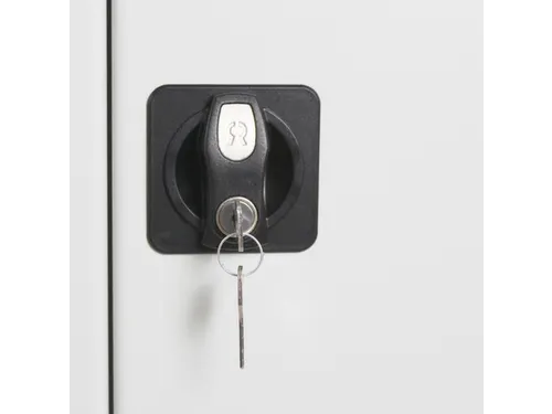 Kast Voor Gevaarlijke Stoffen,V. Irriterende/Giftige Stoffen