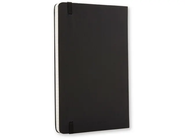 Notitieboek Moleskine large 130x210mm ruit 5x5mm hard cover zwart