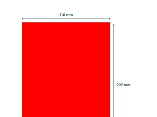 Etiket 210x297mm Fluor Rood 100 Vel - 3