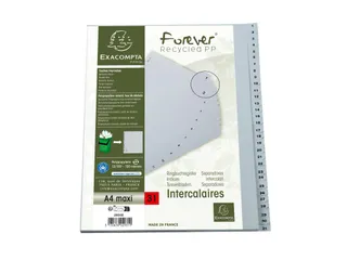 Bedrukte Tabbladen A4+ Grijs Polypropyleen 31-delig 1-31 23-Gaats - 10