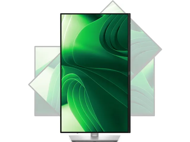 Ecran PC 24 inch LCD DELL Pro Plus P2425D Quad HD noir/argent