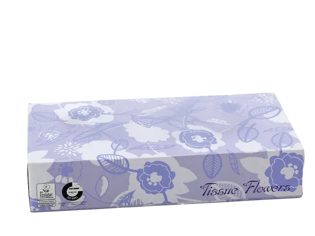 Mouchoirs en boite Celtex 2 couches 100 feuilles boite de 40 distribut