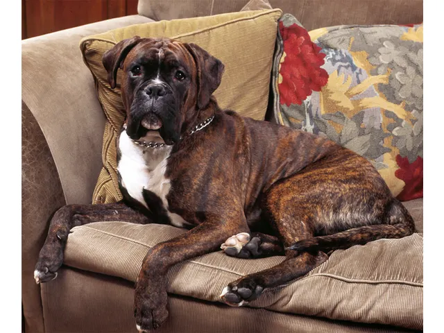 Destructeur de mauvaises odeurs HG 500ml