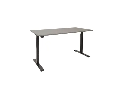 Elektrisch Verstelbaar Bureau Licht grijs 2 Motoren 160x80cm Zwart