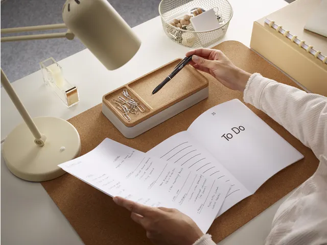 Rollerpen PILOT friXion Ball Plus medium zwart