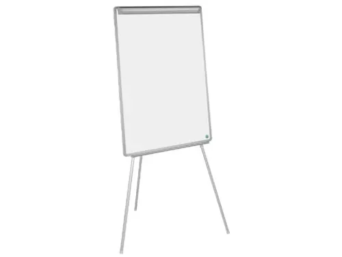 Bisilque Flipchart Euro Earth-it