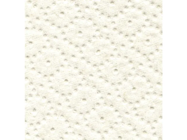 Poetspapier Satino Comfort CR1 2-laags 350m wit 305290