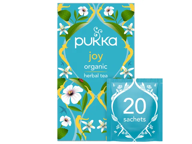 Thee Pukka joy 20 zakjes