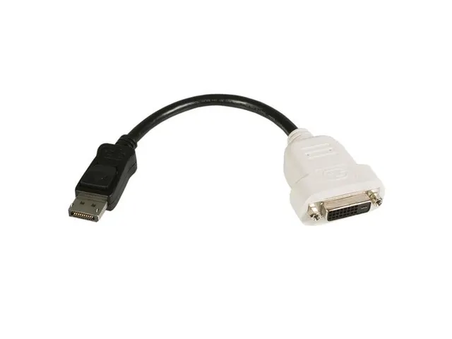 Displayport Naar Dvi Video Adapter Converter Dp2dvi