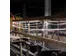 Lichtstrip,band L 25m,silicone,3000 LED,20000lumen
