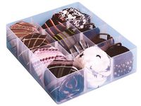 Opbergdoos divider met 12 vakjes, transparant